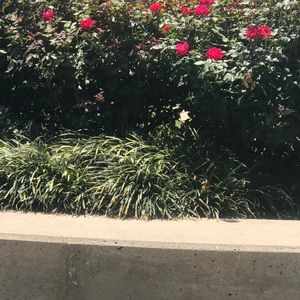 Meet your Posher, Marian